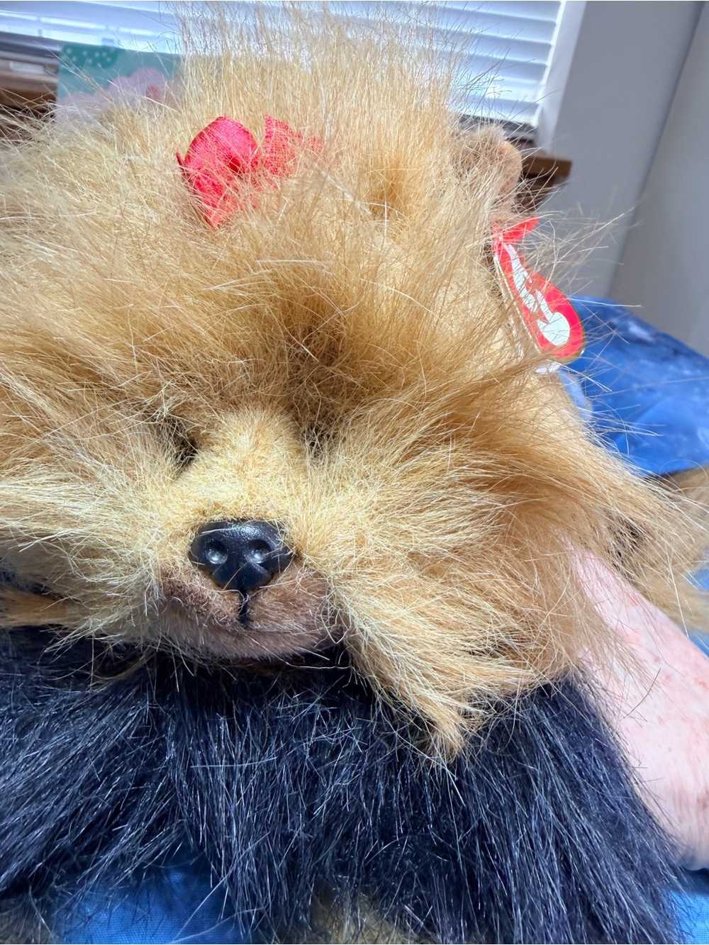 Yappy Retired Beanie NWT